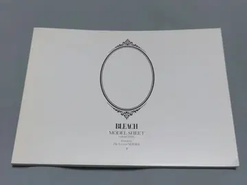BLEACH 소책자 설정 자료 그림죠 울키오라