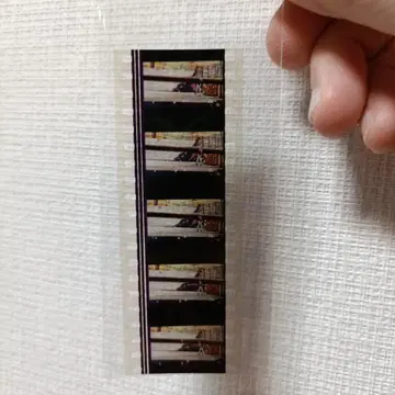 초속 5cm 특전 film 신카이 마코토 영화 시노하라 아카리 아카리