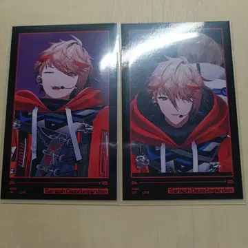 세라프 더즐 가든 카운트다운 라이브 폴라로이드