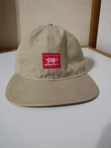 The Endless Summer 나일론 캡