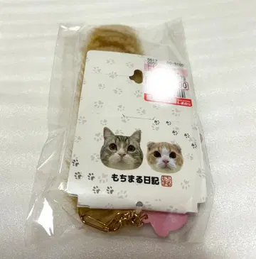 시마무라 모치마루 일기 참 카멜