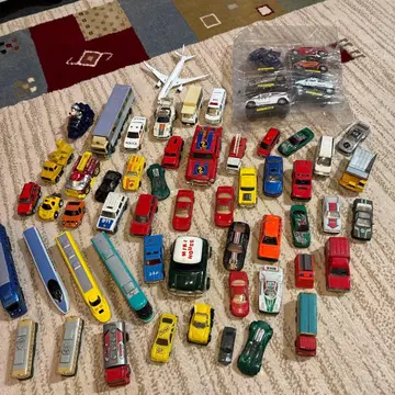 미니카 여러 가지 모음