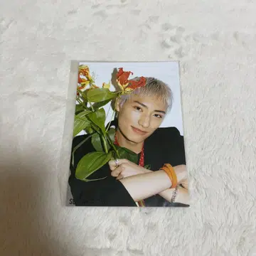 SUPER DRAGON 시바사키 라쿠 2L 사진 스파드라