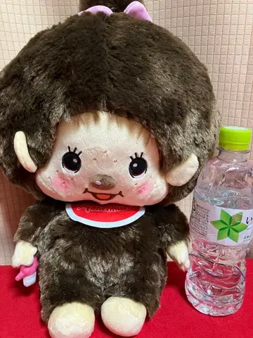 몬치치 BIG 봉제 인형