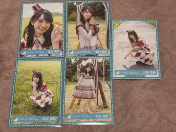 코사카 나오 카네무라 미쿠