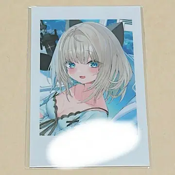 네오포르테 특전 친필 사인 폴라로이드 생일 벌스데이 이토이