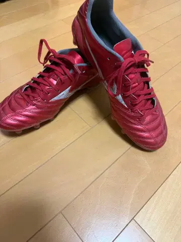 Mizuno 모나르시다 네오 레드