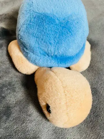 [ 익명 배송 ] 거북이 봉제 인형