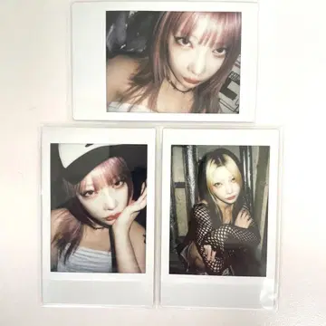 카티 폴라로이드 haze