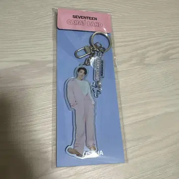 SEVENTEEN 조슈아 아크릴 키링