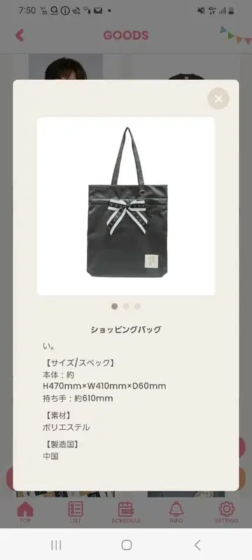 Hey! Say! JUMP DOME TOUR Ssay 쇼핑백