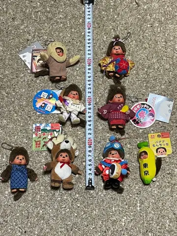 몬치치 초레어 8체 세트