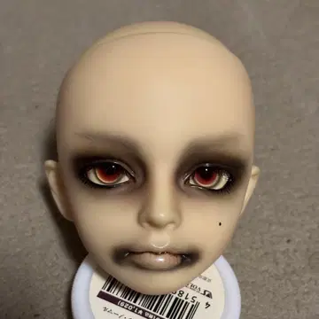 교실 A 헤드 슈퍼돌피 노멀 스킨