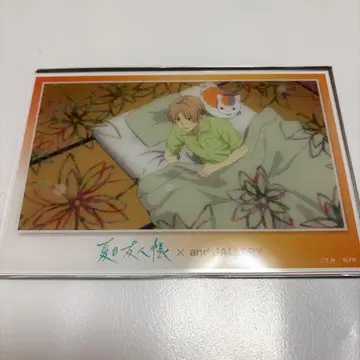 나츠메 우인장 카페 장면 사진 아크릴 엽서 나츠메 타카시 냥코 선생님