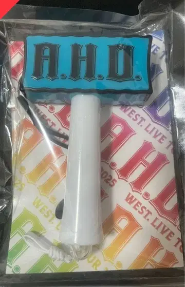 WEST. LIVE 투어 2025 A.H.O. 응원봉