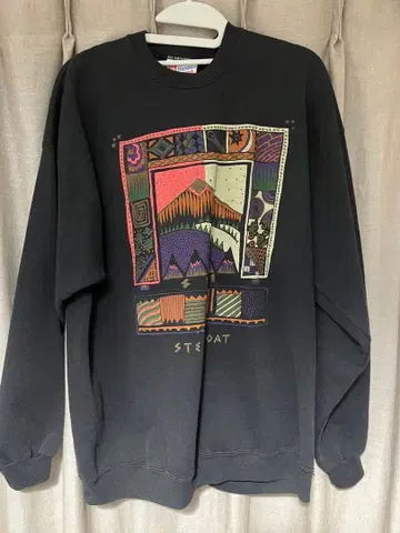 [ 레어 ] Hanes 그래픽 프린트 맨투맨 구제 의류 빈티지