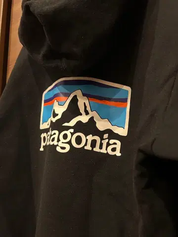 patagonia 후드티