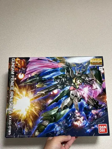 MG 1/100 건담 페니체 리나시타