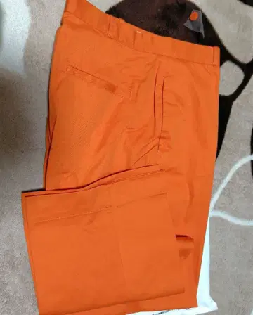 오렌지 워크 팬츠 포켓 있음