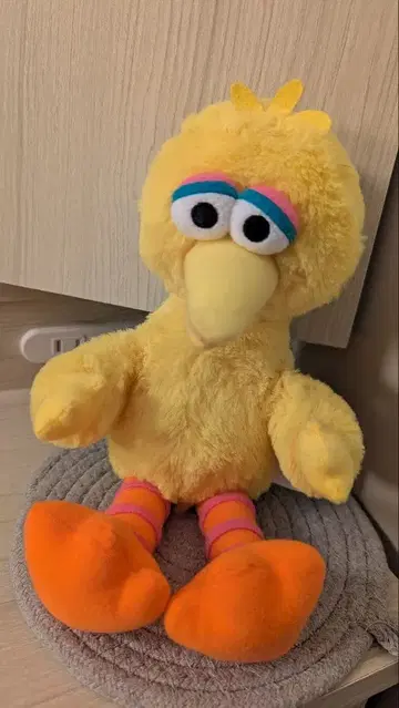 빅버드 봉제 인형 2015