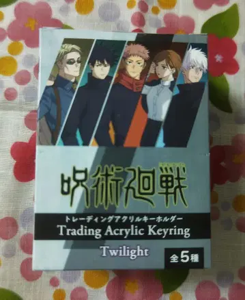 주술회전 트레이딩 아크릴 키링 Twilight 미개봉 1BOX