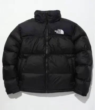 THE NORTH FACE 눕시 700 다운 자켓