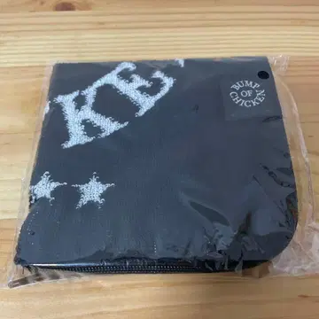 BUMP OF CHICKEN 파우치