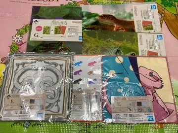 제일복권 파충류&양서류 E상 타월 G상 클리어 파일 6종 세트