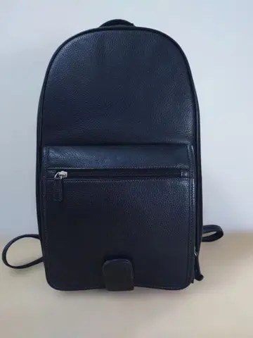 [ 초레어 ] 니콘 Nikon 백팩 페블 가죽 주름 가죽