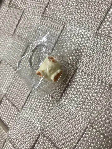 콘 약 반지 팝콘 약 반지 x 1개 미니콘 혼인 신고서 포함