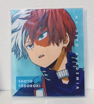나의 히어로 아카데미아 제일복권 토도로키 쇼토 BIG 아크릴 스탠드