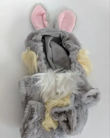 톰스케 유니베어 시티 봉제 인형 코스튬