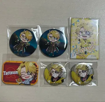 컬러풀 피치 카라피치 타츠 타츠 캔뱃지 묶음 판매