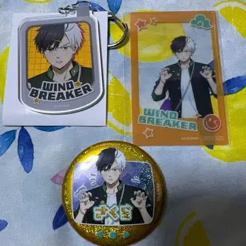 윈브레 AGF 사쿠라 하루카 세트 마리모크라프트