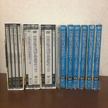 DVD 세트