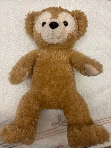 Tokyo DisneySea Duffy 더피 디즈니