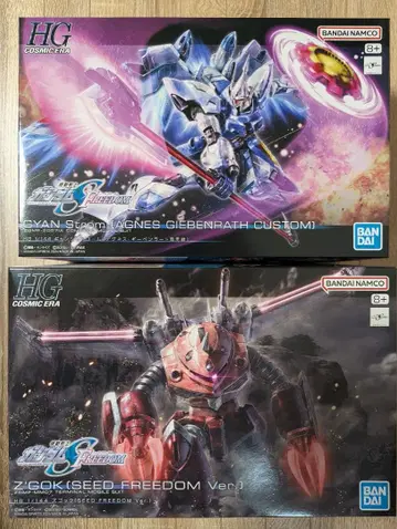 HG 즈고크 걍 슈트롬