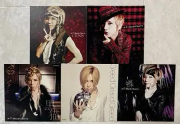 Acid Black Cherry 어나더 자켓 5매 세트