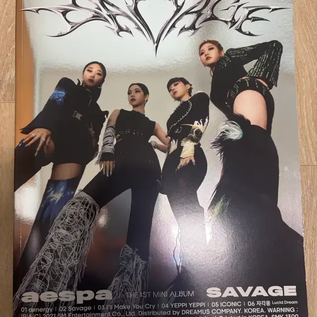 에스파 세비지 환각퀘스트 앨범