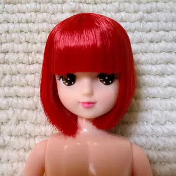 리카짱 캐슬 키라짱 즐거운 인형 리카짱