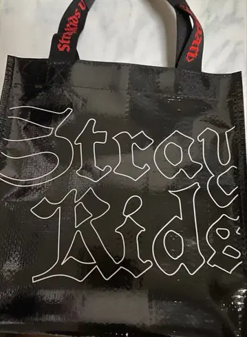 스키즈 dominATE 업그레이드 굿즈 특전 stray kids