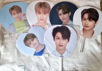 SEVENTEEN 준 부채 부채 정리 세트