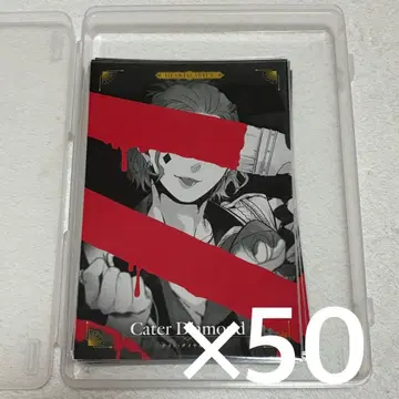 트위스테 케이트 카운트다운 포스카 엽서 50장