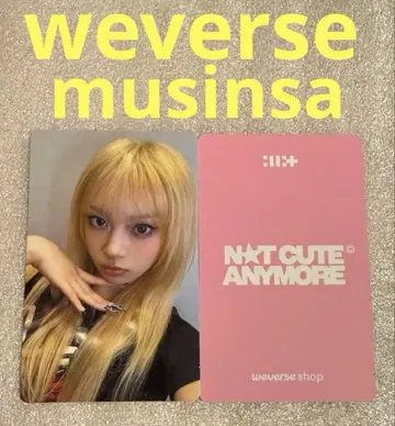 ILLIT NOT CUTE ANYMORE musinsa 모카