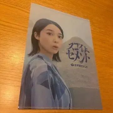 태평양 시멘트 클리어 파일 카미시라이시 모네