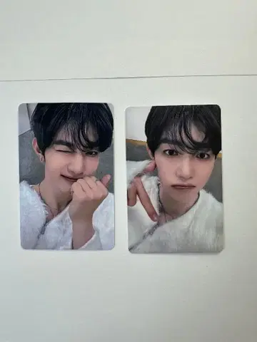 ZB1 패배 B상 앗치무이테호이 제베원 장하오 트레이딩 카드 2장