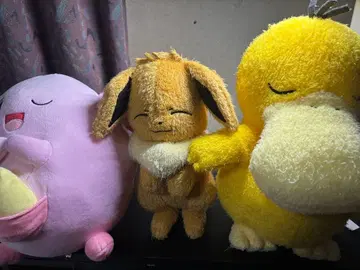 포켓몬 이브이 럭키 코닥 봉제 인형 세트