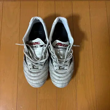 모렐리아 2 재팬