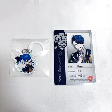 비바렌 AGF 메지루시 아크릴 참 마법사 인증 카드 잇세이