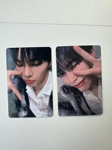 ZB1 패배 B상 이쪽 봐 윷놀이 제베원 한빈 트레이딩 카드 2장